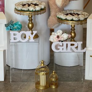 Pri Paradise Party 003